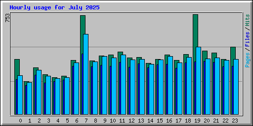 Hourly usage for July 2025