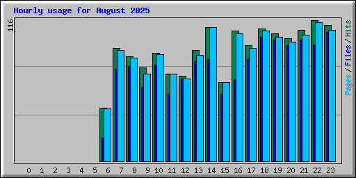 Hourly usage for August 2025
