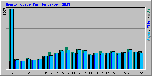 Hourly usage for September 2025