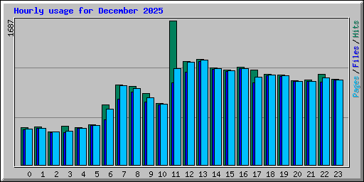 Hourly usage for December 2025