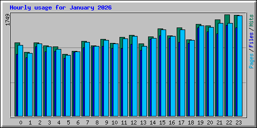 Hourly usage for January 2026