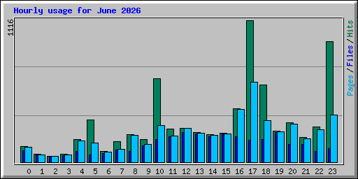 Hourly usage for June 2026