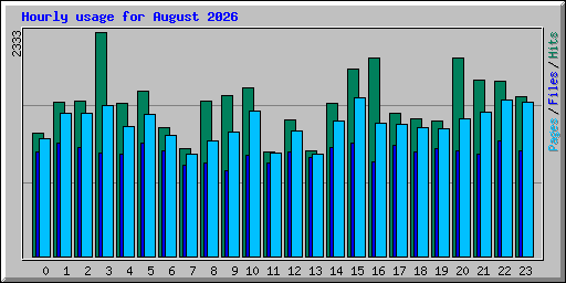 Hourly usage for August 2026